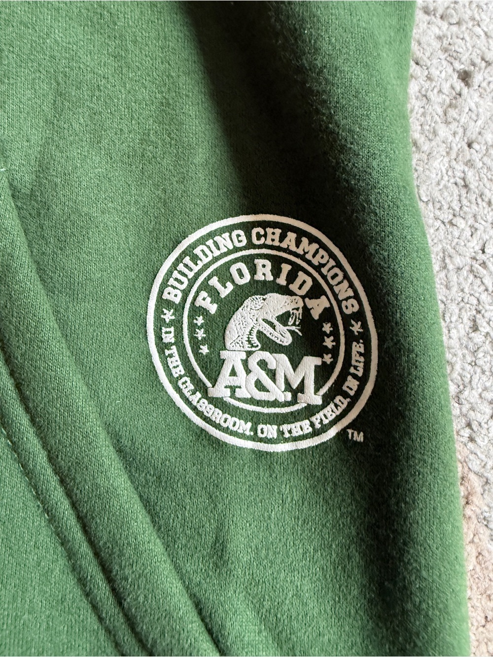 Dungeon Forward FAMU Green/Black Small Hoodie “The Highest of Seven Hills' - Picture 2 of 9